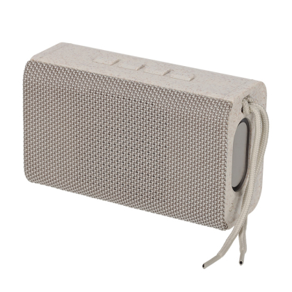 BRAINZ Speaker Kane Wheatstraw 38672