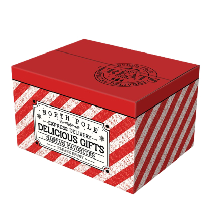 Kerstpakketdoos Express Delivery