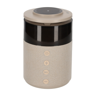 BRAINZ 5 in 1 Charging Speaker Taupe 38563 1