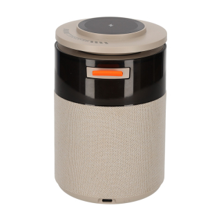 BRAINZ 5 in 1 Charging Speaker Taupe 38563 3