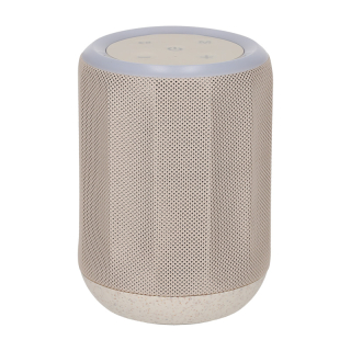 BRAINZ Speaker Zane Wheatstraw 38671 1