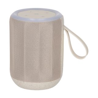 BRAINZ Speaker Zane Wheatstraw 38671 2