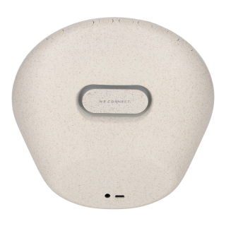 BRAINZ Wake Up Light Speaker Wheatstraw 38670 2