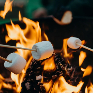 bbq marshmallows kolenzak