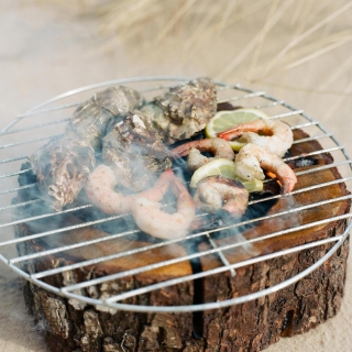 eco bbq grill