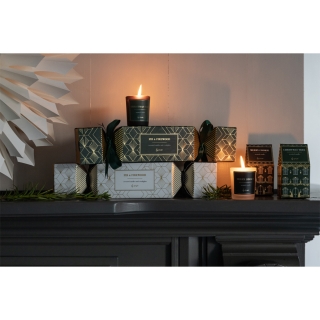 25029 SFEER 25029 SFEER