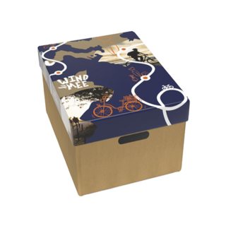 Wind mee bruine bodem Wind mee bruine bodem